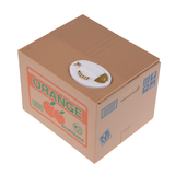 Coin Stealing Cat Piggy Bank