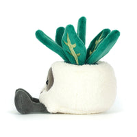 *NEW* Jellycat Amuseables Skull Planter (LIMIT 1)