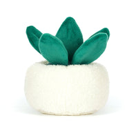 *NEW* Jellycat Amuseables Skull Planter (LIMIT 1)