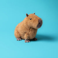 *NEW* Jellycat Clyde Capybara (LIMIT 1)