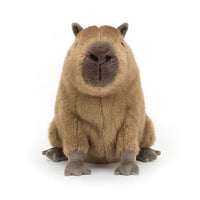 *NEW* Jellycat Clyde Capybara (LIMIT 1)