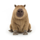 *NEW* Jellycat Clyde Capybara (LIMIT 1)