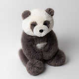 *COMING SOON* Jellycat Harry Panda Cub Medium (LIMIT 1)