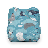 Thirsties Natural Newborn All in One Diaper