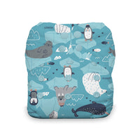Thirsties Natural One Size All in One Diaper