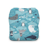Thirsties Natural One Size All in One Diaper