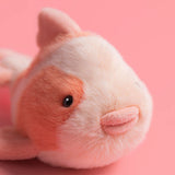 *NEW* Jellycat Fancy Carp (LIMIT 1)