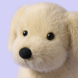 *COMING SOON* Jellycat Golden Puppy (LIMIT 1)