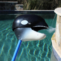 *NEW* Safari Ltd. Snapper - Orca