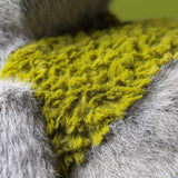 *COMING SOON* Jellycat Rockleton (LIMIT 1)