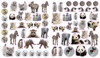 *NEW* Eyelike Stickers - Baby Animals