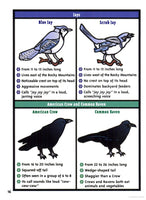 'Backyard Birding for Kids' Book