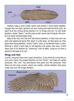 'Backyard Birding for Kids' Book