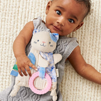 *NEW* Itzy Ritzy Bitzy Crinkle Sensory Toy with Teether - Kitty