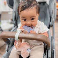 Itzy Ritzy Bitsy Busy Ring Teething Activity Toy - Bunny