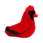 *COMING SOON* Douglas Toys Carmine Cardinal Plush
