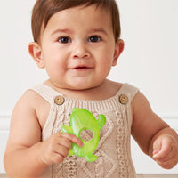 *NEW* Itzy Ritzy Cutie Coolers Water Filled Teethers - Silly Foods