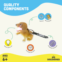 *NEW* Lifelight Animal Carabiner Flashlight - Dog