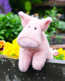 *NEW* Douglas Toys Peter Pig Muzzle Plush