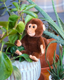 *NEW* Douglas Toys Skip Monkey Plush