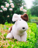 *NEW* Douglas Toys Tammy Two-Tone Dog Muzzle Plush