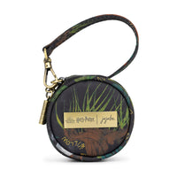 Jujube Paci Pod