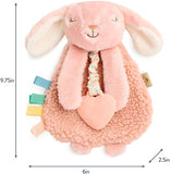 Itzy Ritzy Itzy Lovey Plush with Teether - Bunny