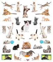 *NEW* Eyelike Stickers - Kittens