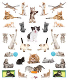 *NEW* Eyelike Stickers - Kittens
