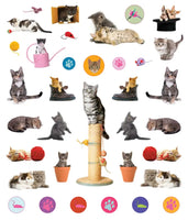 *NEW* Eyelike Stickers - Kittens