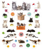 *NEW* Eyelike Stickers - Kittens