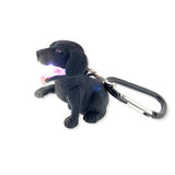 *NEW* Wildlight Animal Carabiner Flashlight - Black Labrador Dog