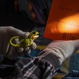 *NEW* Lifelight Animal Carabiner Flashlight - Green Lizard