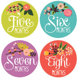 Lucy Darling Little Artist Monthly Baby Stickers