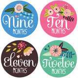 Lucy Darling Little Artist Monthly Baby Stickers