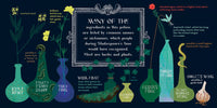 *NEW* BabyLit Classic Lit - Macbeth - A Potions Primer