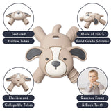 Itzy Ritzy Molar Teether - Puppy