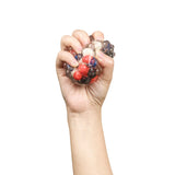 *COMING SOON* Toysmith Molecular Squish Ball