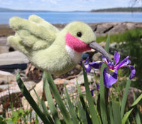 *NEW* Douglas Toys Nectar Hummingbird Plush