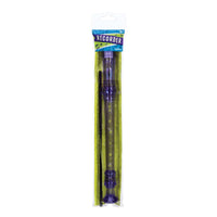*NEW* Toysmith Recorder