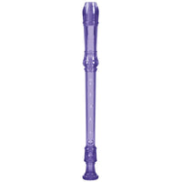 *NEW* Toysmith Recorder