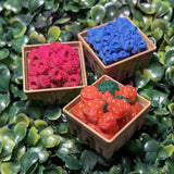 3D-Printed Clicker Fidget Toy