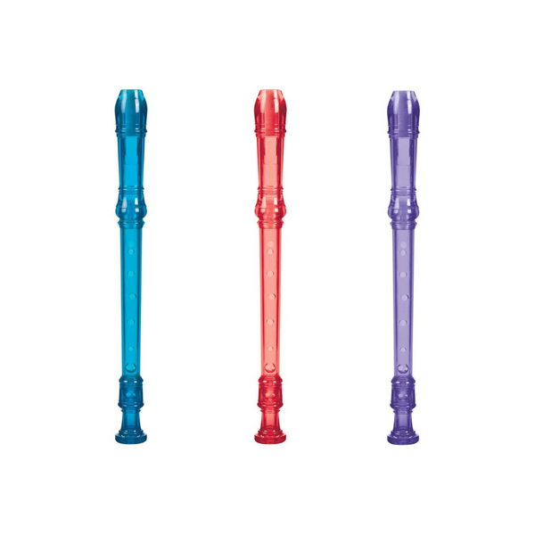 *NEW* Toysmith Recorder