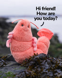 Douglas Toys Salty Shrimp Plush