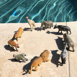 Safari Ltd. South African Animals TOOB