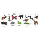 Safari Ltd. In the Woods TOOB