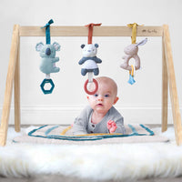Itzy Ritzy Wooden Activity Gym with Toys
