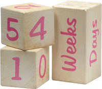 *FINAL SALE* Maple Landmark Portrait Prop Blocks