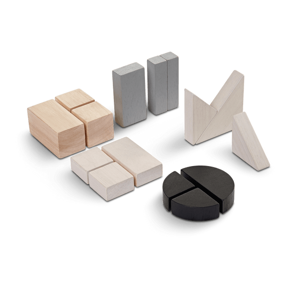 Plan Toys Fraction Blocks
