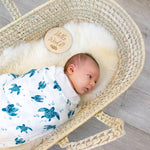 Bebe Au Lait Birth Announcement Milestone Discs
